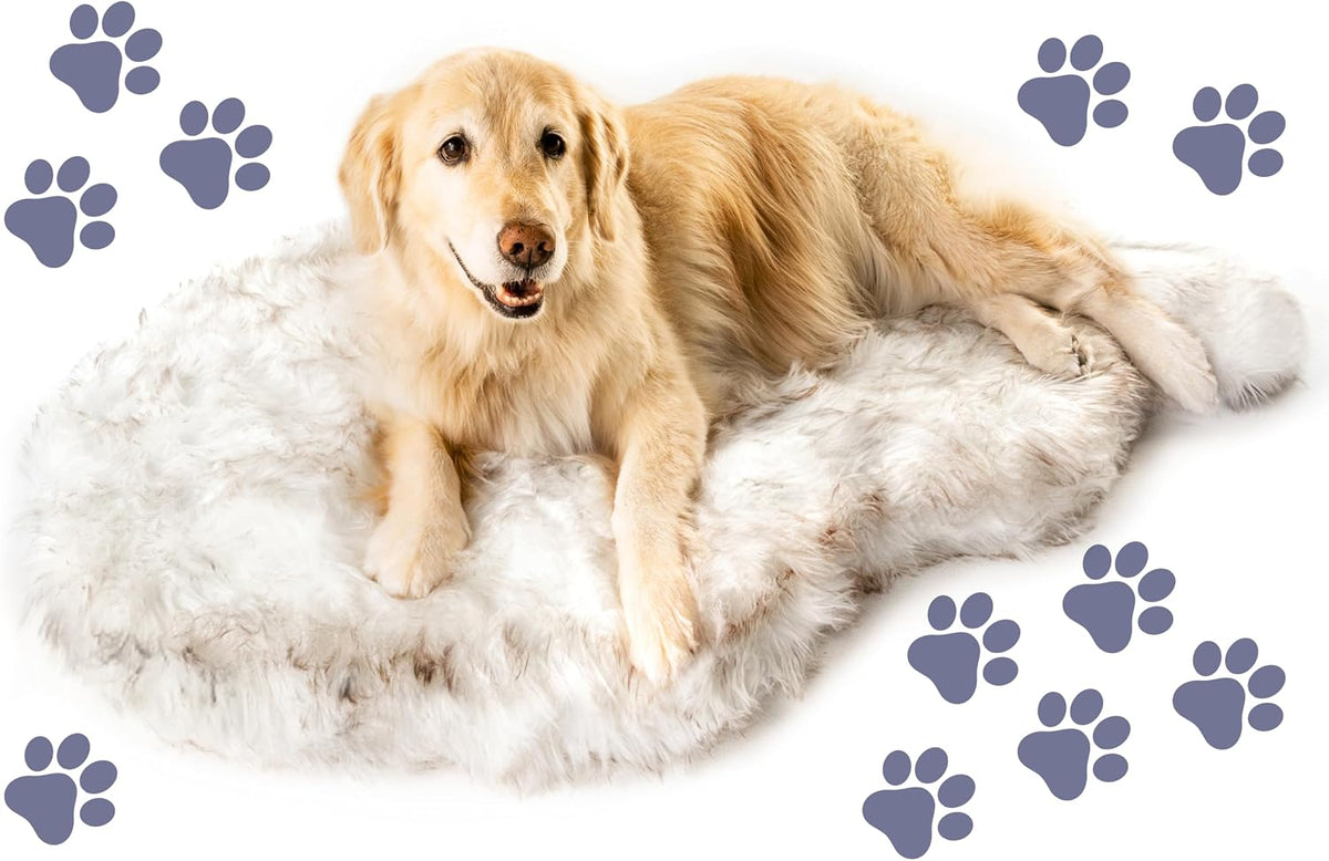 PupRug Memory Foam Dog Bed, White/Brown, 50x30