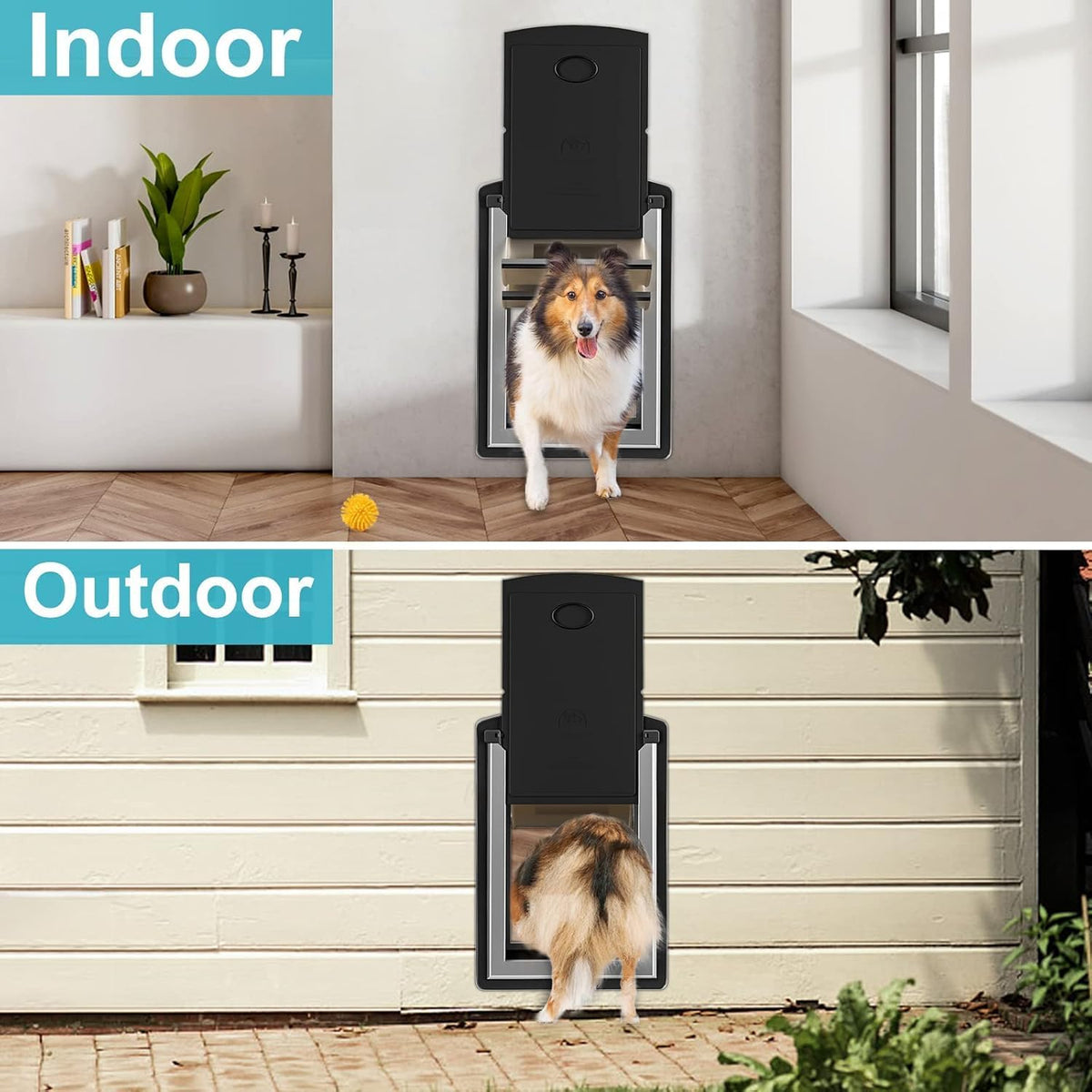 ClawJaw Doggy Door for Wall Metal Frame & Telescopic Tunnel