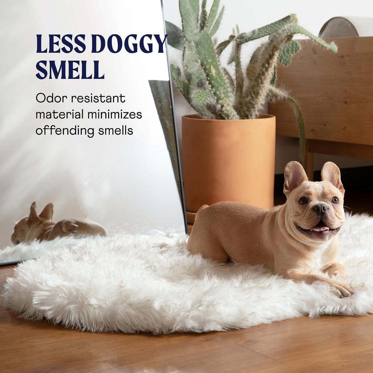 PupRug Memory Foam Dog Bed, White/Brown, 50x30