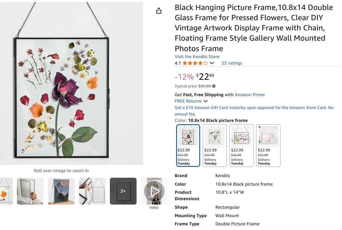 Black Hanging Picture Frame,10.8x14 Double Glass Frame for Pressed Flowers Kendiis