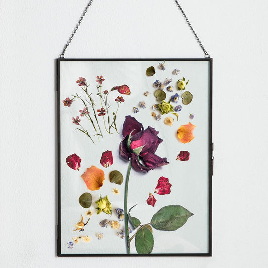 Black Hanging Picture Frame,10.8x14 Double Glass Frame for Pressed Flowers Kendiis