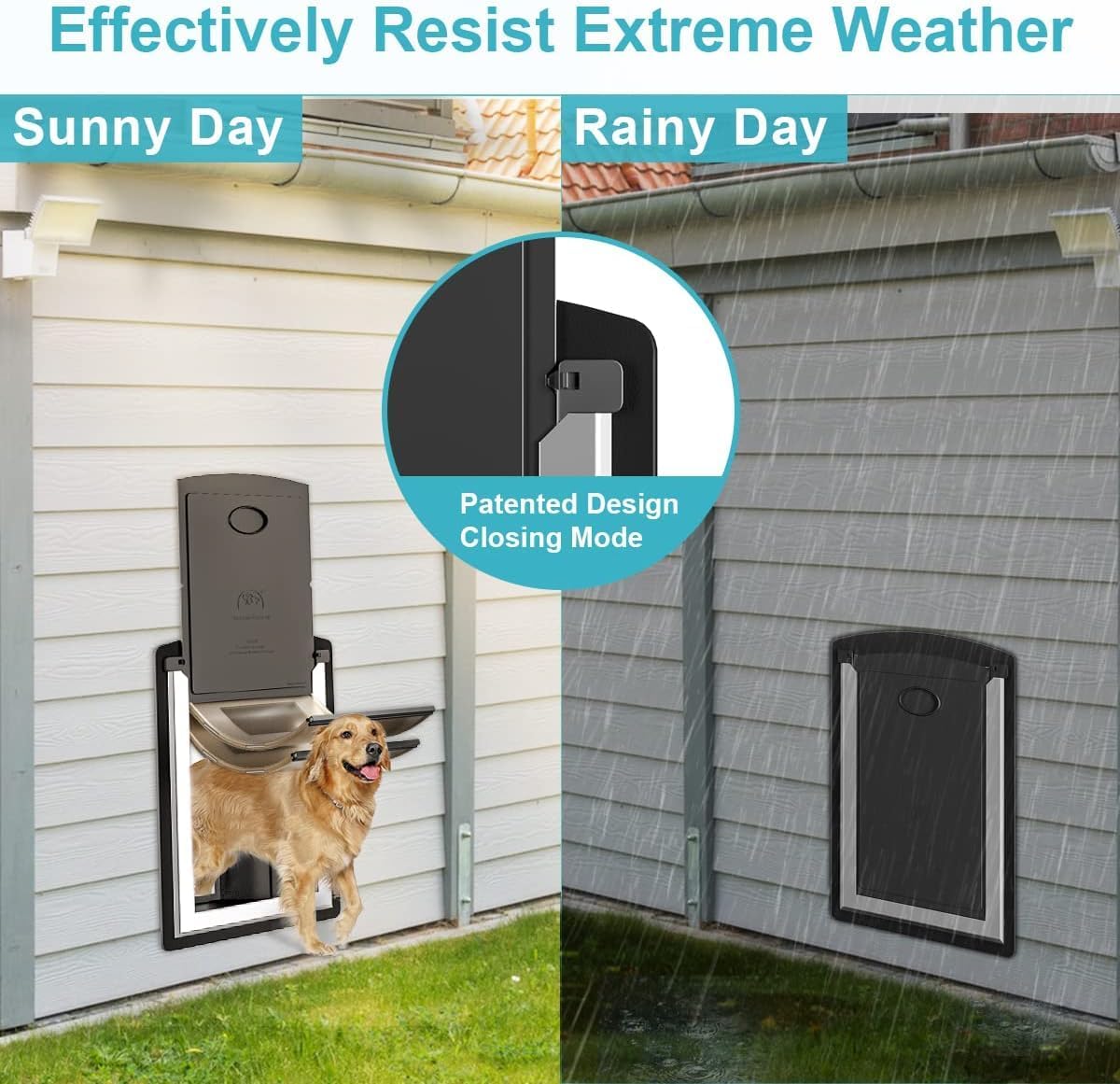 ClawJaw Doggy Door for Wall Metal Frame & Telescopic Tunnel
