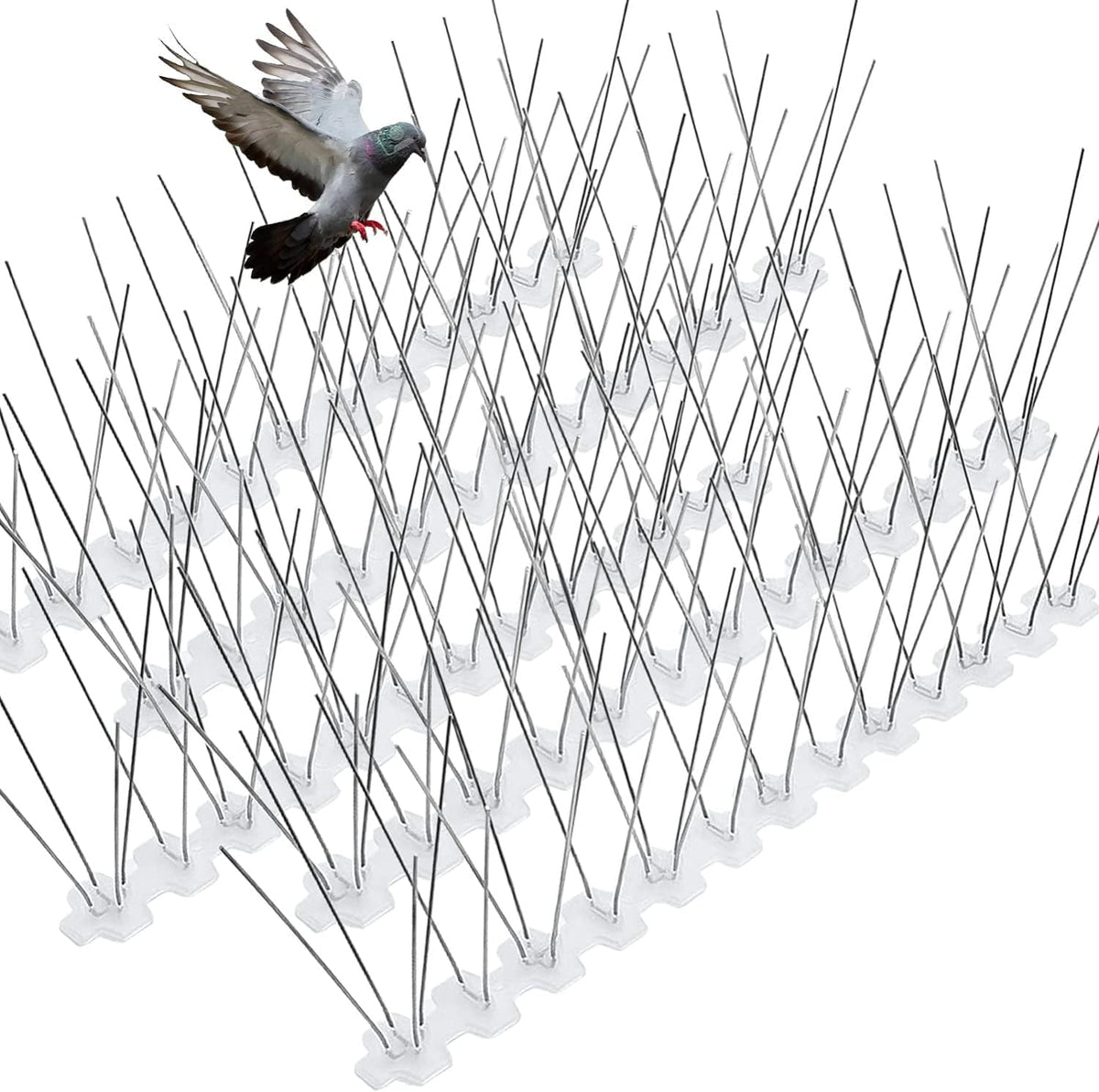 Bird Spikes for Pigeons Small Birds Stainless Steel 200 feet Coverage Outdoor