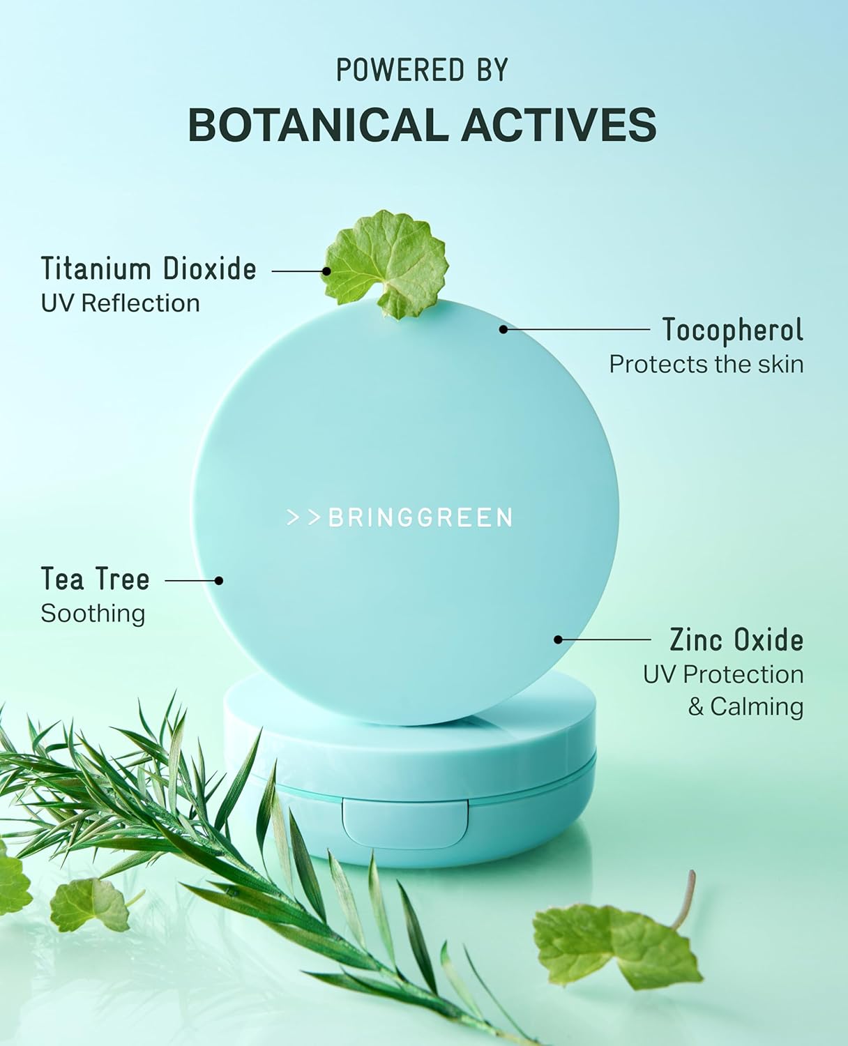 BRING GREEN Tea Tree CICA Facial Sun Cushion SPF 50+