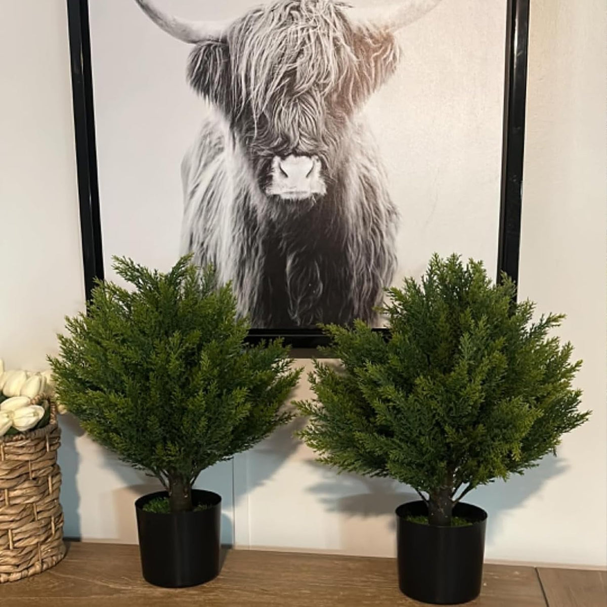 Artificial Cedar Topiary Trees - 24" Tall 17" Wide Set of 2