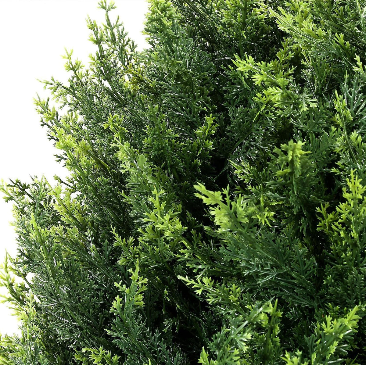 Artificial Cedar Topiary Trees - 24" Tall 17" Wide Set of 2