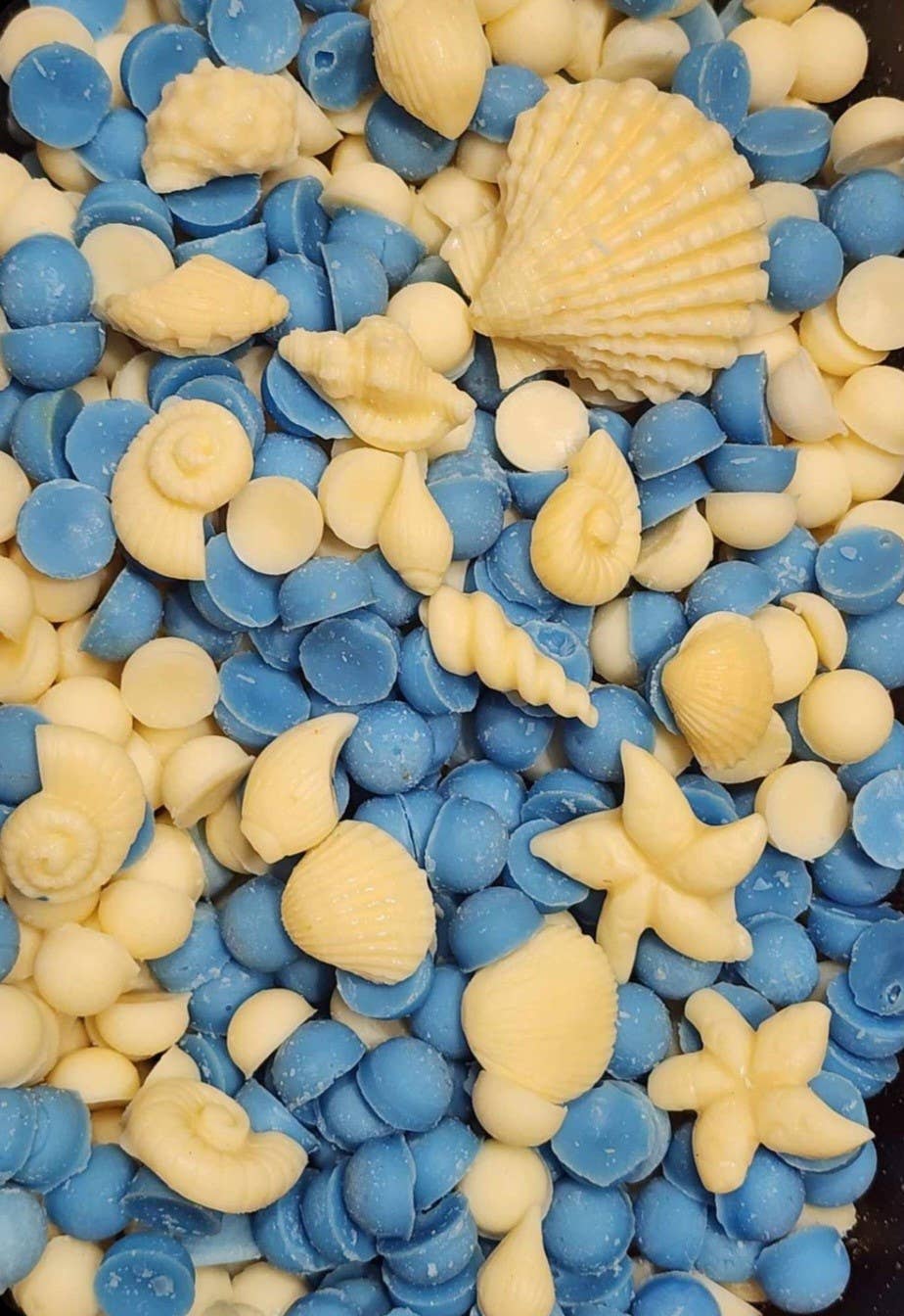 Beach Bum Wax Melt The Littlest Things