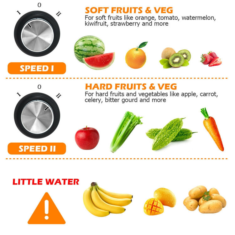 Centrifugal Juicer Machine Juicer Extractor Dual Speed