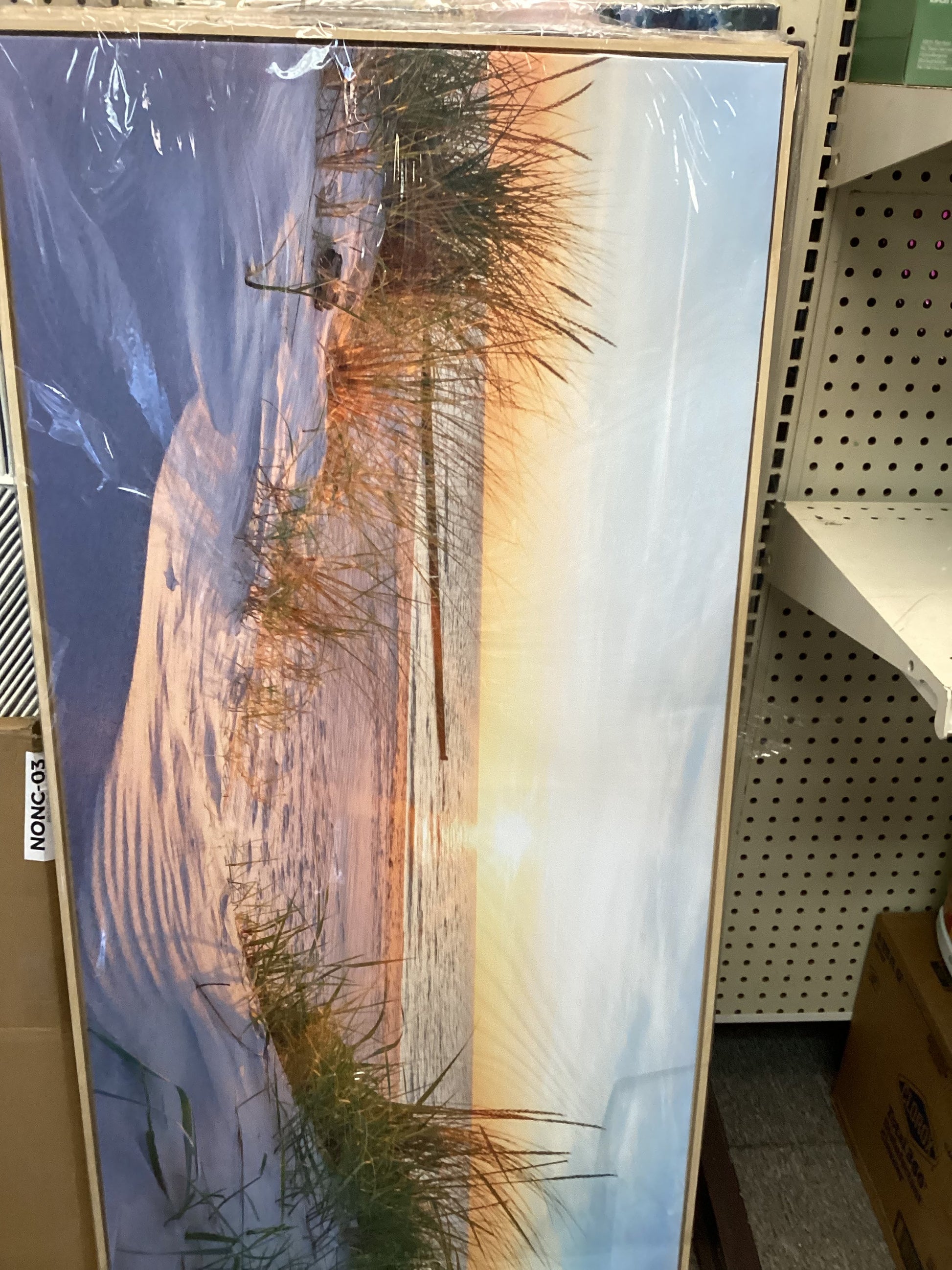 Canvas Wall Art Unbranded